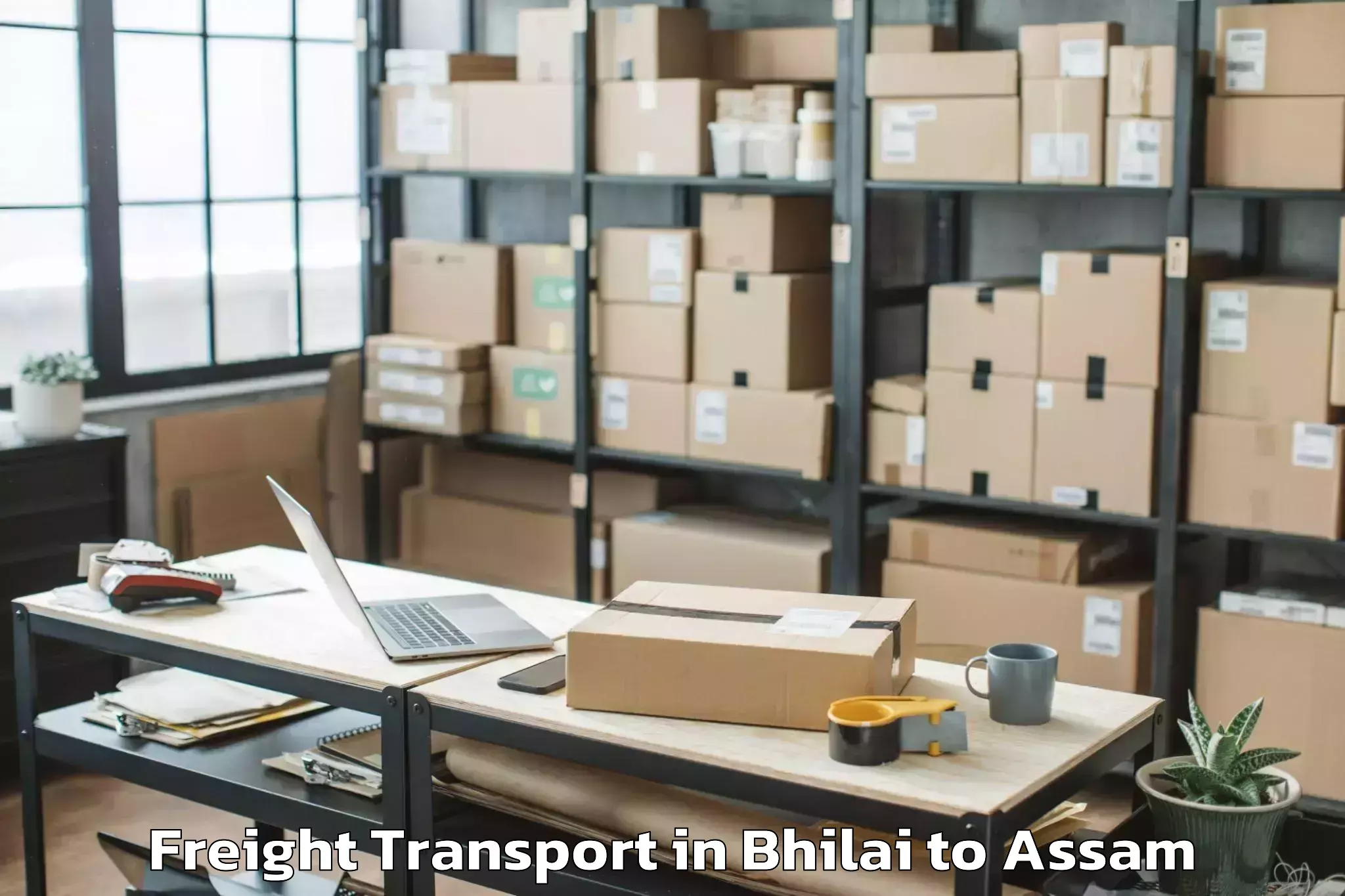 Easy Bhilai to Assam Freight Transport Booking